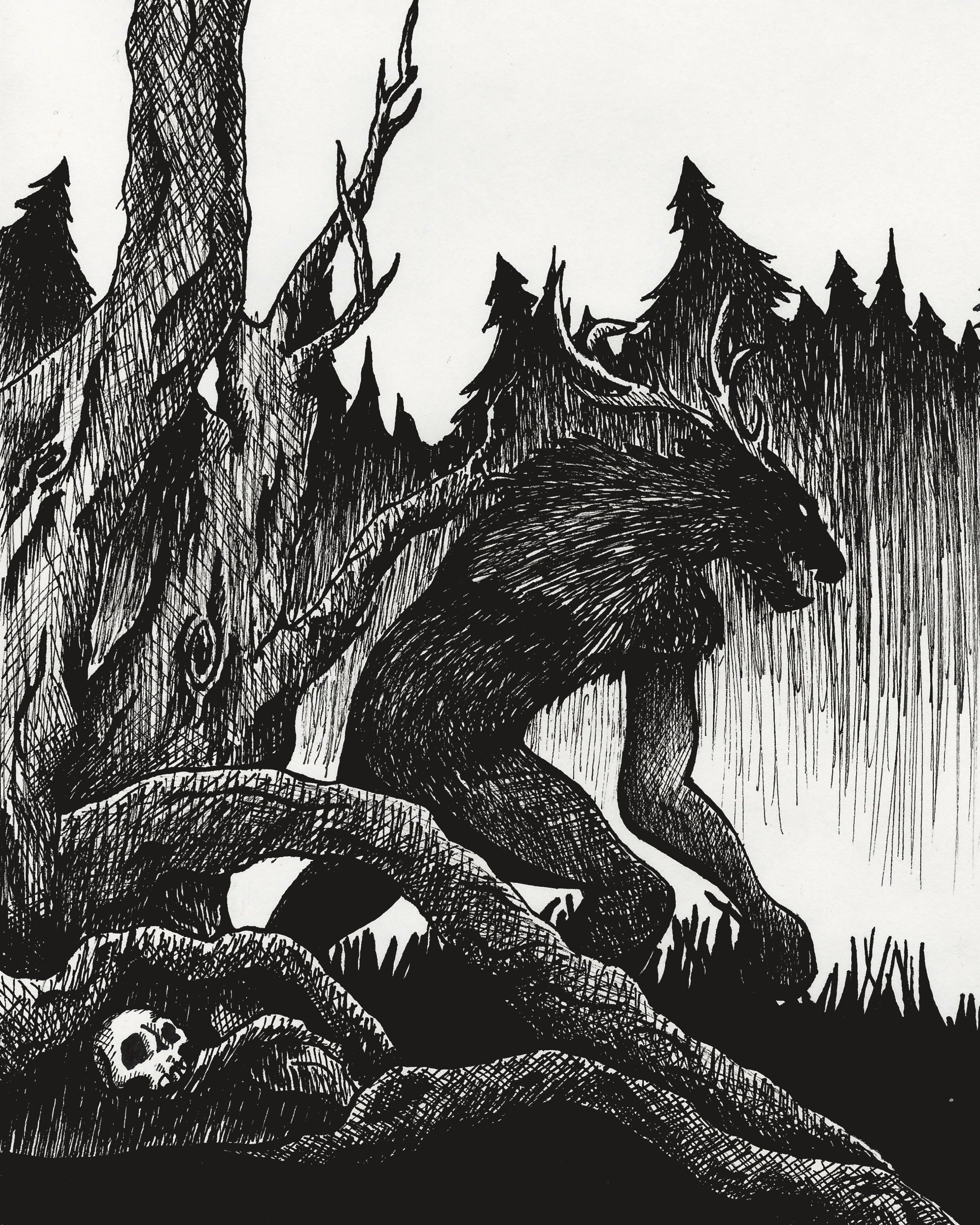 20240510132235-17559430-wendigo